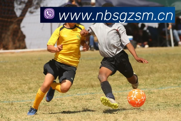 App Interface Preview